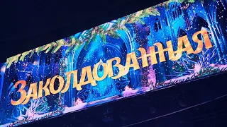 Большой Московский цирк на Вернадского "Заколдованная"