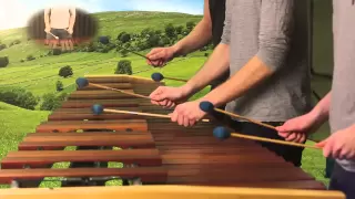 Zelda Ocarina of Time - Hyrule Field Theme on Marimba