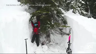 What are "tree wells," and why are they so dangerous for skiers?