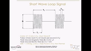 WEBINAR - Applications for the Assisi Loop in the Equine Practice