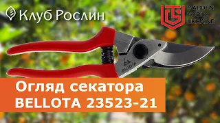 Secateurs Bellota 23523-21 (Spain???)