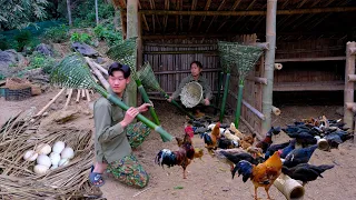 #112 : Chickens lay eggs everywhere. How to knit a bamboo cage for hens to lay eggs - Building Life