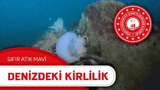 Denizdeki Kirlilik | Sıfır Atık Mavi