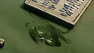 Mysterious And Bizarre Things Found On Google Earth