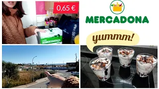 Compra MERCADONA 🛒 Postre de galletas con crema catalana (de paquete) Vlog 261