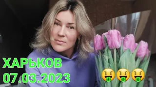 ХАРЬКОВ 7.03.2023 ЦЕНЫ🤑🤑🤑 НА ЦВЕТЫ ПЕРЕД ВОСЬМЫМ МАРТА!!!/ ПОЕХАЛА К БАБУШКЕ!!!