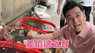 连续去两个菜市场买龙虾 差价错这么多 路哥：肉疼