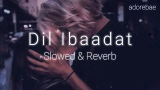 Dil ibadat | Slowed and Reverb | adorebae | #dilibadat #slowedandreverb #lovesong