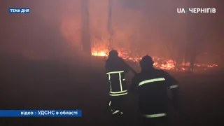 На Чернігівщині горять ліси: якої шкоди завдано та яка відповідальність? Тема дня (13.04.2020).