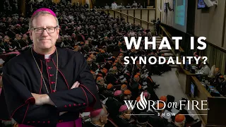 What is Synodality?