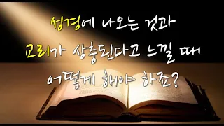 2021 12 27/ 성경에 나오는 것과 교리가 상충된다고 느낄 때는 어떻게?/ 하느님을 기쁘게 해 드리는 가장 좋은 방법은?/ 전삼용 요셉 신부 채널 덧글 나눔