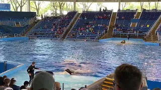 SeaWorld San Antonio June 11 2022