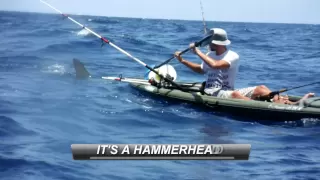 Hammerhead Shark Attacks Kayak Fisherman!!!