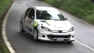 Pablo Fuente - Diego Corta | Rally de Guriezo 2021 | Peugeot 206 XS