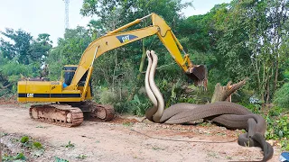 JCB | Really Scary Road Construction By Excavator With Snake