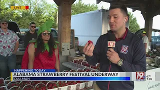 Alabama Strawberry Festival Underway in Cullman | May 4, 2024 | News 19 This Morning - Saturday