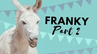 Franky's introduction to our fields, part 2 - Easy Horse Care Rescue Centre
