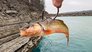 Fishing Off a CLIFF for MONSTER Fish!!! (Insanely Deep!)