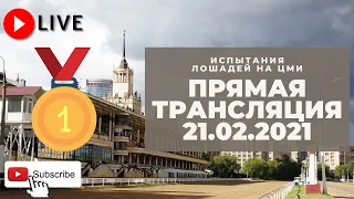 21.02.2021. Прямая трансляция с ЦМИ. Большие зимние призы.