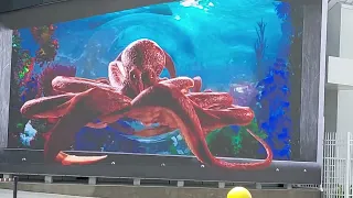 Port Nassau, The Bahamas.  Marine life video with 3D graphics