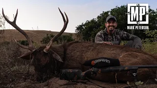 Marble Island Sambar Stag | Mark V. Peterson Hunting