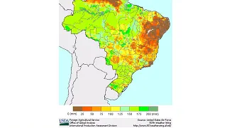 Soybean Marketing Update | Feb. 8, 2019, South American Update