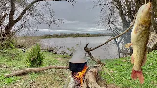 TARARIRA y BAGRE GIGANTES. “Pesca,Campo,Guiso y Naturaleza” INCREÍBLE LUGAR