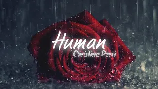 [ Vietsub ] Human - Christina Perri