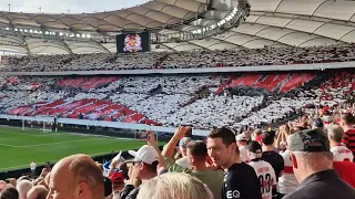 Choreo VfB Stuttgart gegen Augsburg | 29.10.2022 | 1893TV