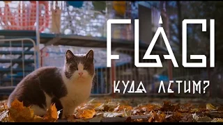 FLAGI — Куда летим?