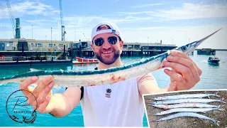 The BEST way to Catch Garfish (Longnose)! UK Float Fishing Setup!