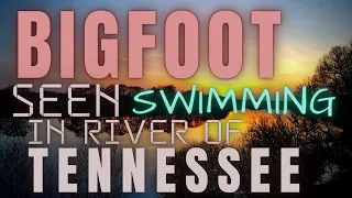 TENNESSEE OUTDOORSMAN HAS TWO BIGFOOT ENCOUNTERS | "IT SWAM 20 FT INFRONT OF US"