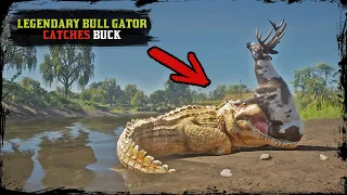 RARE Scenario Event ▶️ Alligator Catches Buck / Red dead Redemption 2 PC 4K