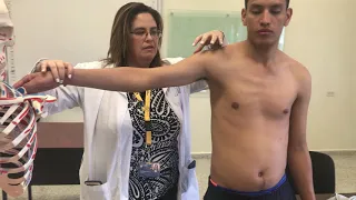 Proyección de músculos miembro superior (hombro y brazo)