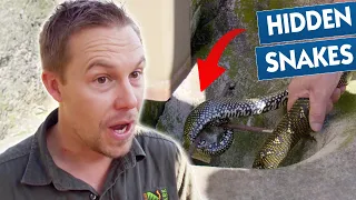 Bizarre Animal Break-ins 😱 | Bondi Vet Compilation