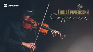 Гоша Грачевский - Скрипач | Премьера трека 2020