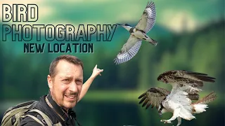 BIRD PHOTOGRAPHY | Ontario, CANADA | Tommy Thompson Park | Birds of Prey | Canon R3 & RF 100-500mm