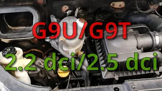 G9U G9T 2.2 dci 2.5 dci CAR DOES NOT START AFTER TIMING BELT CHANGE!? WHY? SHORT INSTRUCTIONS