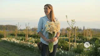 The Flower Growing Guide - Official Trailer | Workshops | Magnolia Network