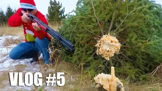 Shotgun vs Christmas Tree 🎄  How Many Shots Will it Take? | Gould Brothers