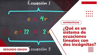 09. ¿Qué es un sistema de ecuaciones lineales con dos incógnitas?