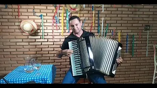 Asa Branca - Luiz Gonzaga (acordeon instrumental) #sanfoneiro #stilli #luizgonzaga