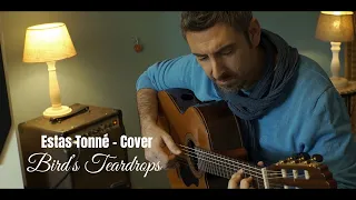 Estas Tonné - Birds Teardrops / Crailsheim Variations Guitar Cover by M. Adamidis