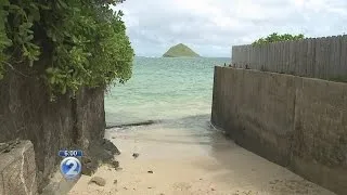 Shark attack off Lanikai Beach leaves swimmer with serious leg injuries