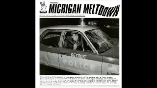 Various – Michigan Meltdown Vol 2 12 More Non-Hits From Pleasant Peninsula Preternaturals Collection