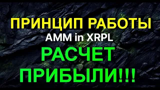 AMM (XRPL): ПРИНЦИП РАБОТЫ!!! | Расчет прибыли XRP и ($)USD!!!