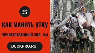 5.  Как манить утку.  Охота с Бак Гарднер. Приветственный зов №1. Русская озвучка.