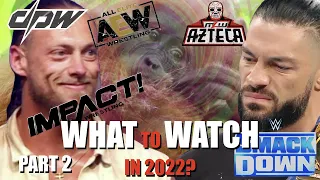 AN IDIOT TRIES TO GET BACK INTO WRESTLING IN 2022! PART 2