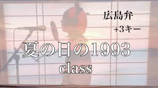 【広島弁バラードverが綺麗すぎる…】夏の日の1993/class  covered by 会社員みかん