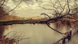 Юрий Барабаш (Петлюра) Тёмная вода.